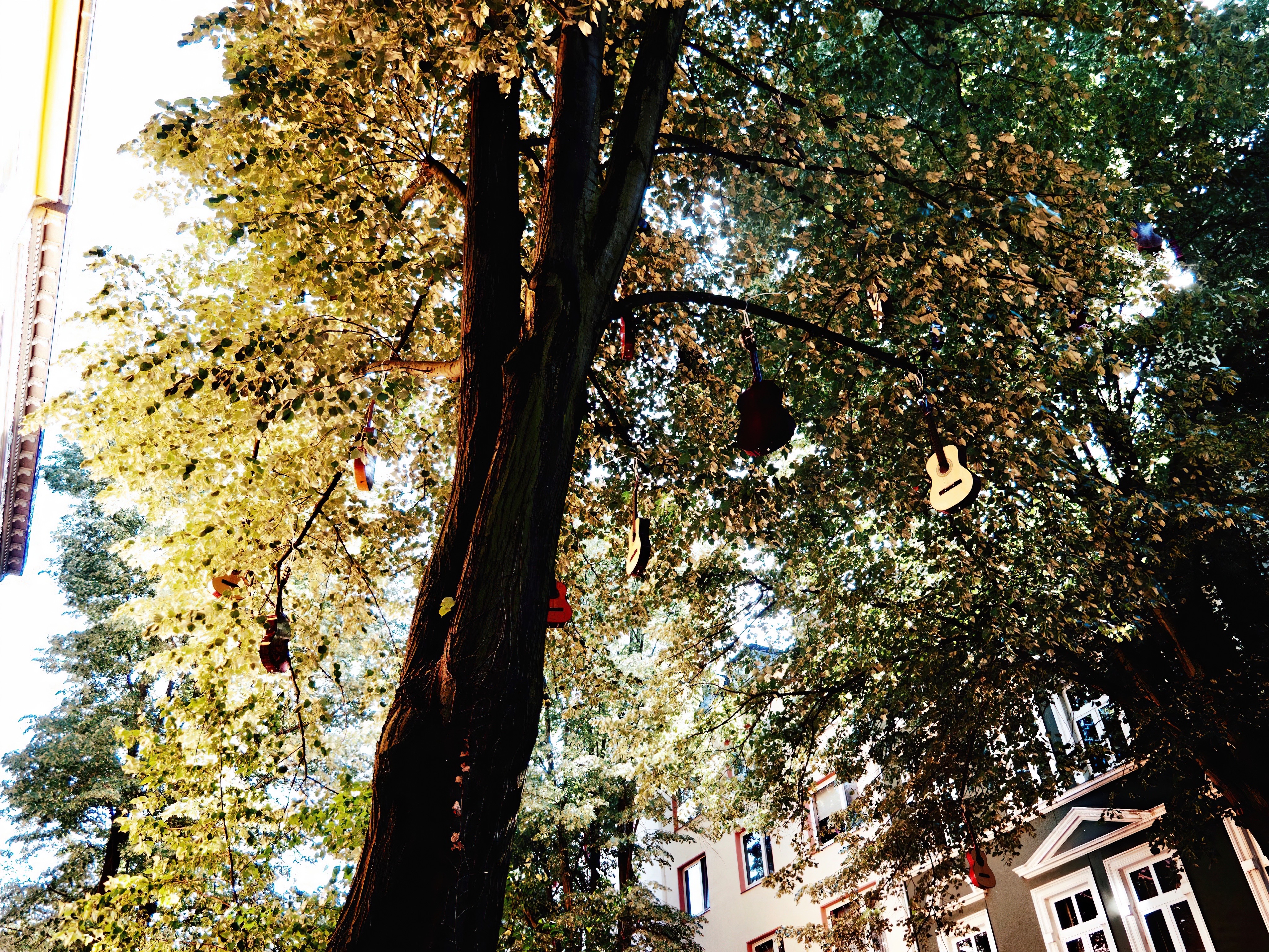 Gitarrenhimmel in Düsseldorf