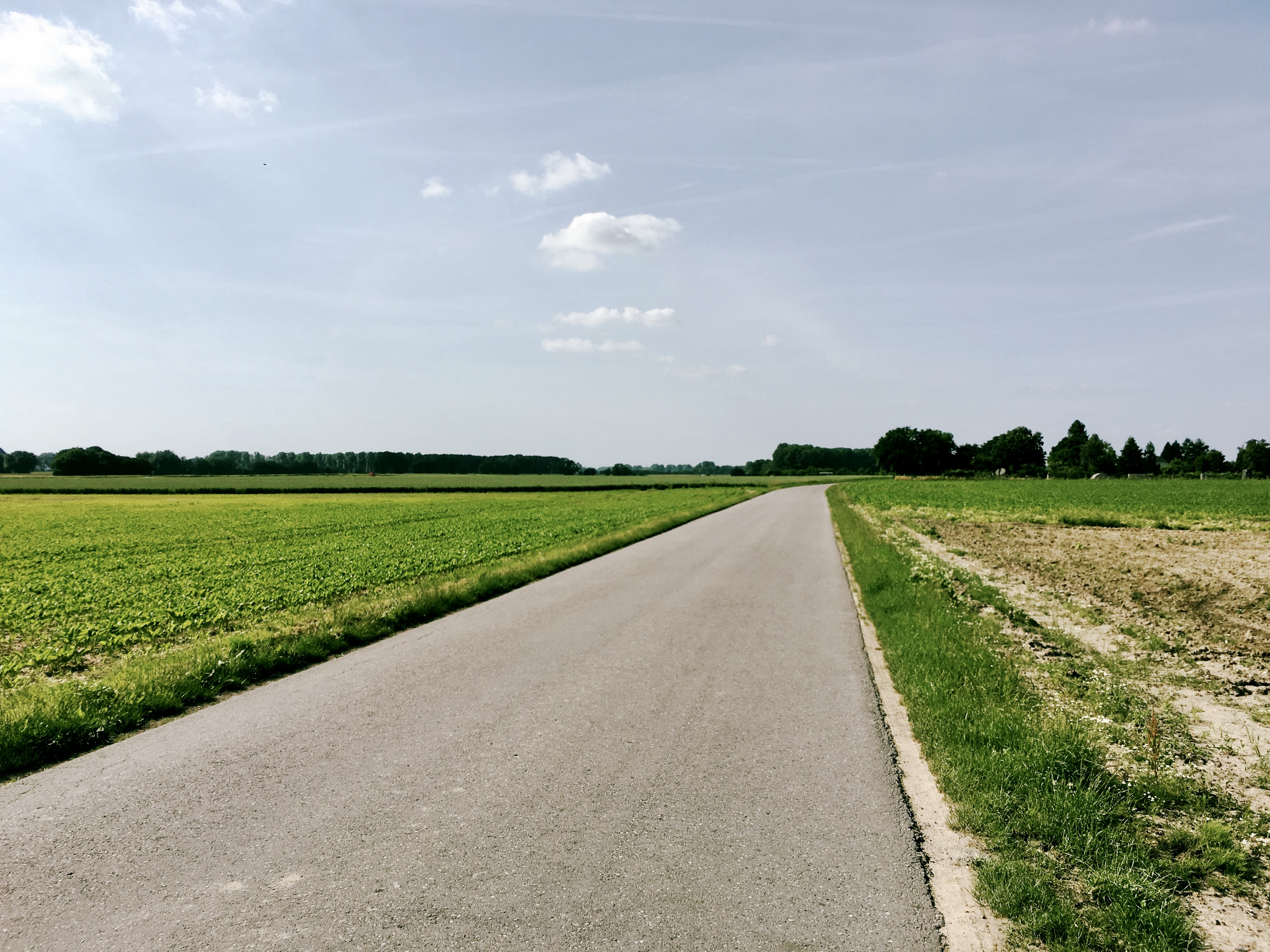 Wandern bei Meerbusch