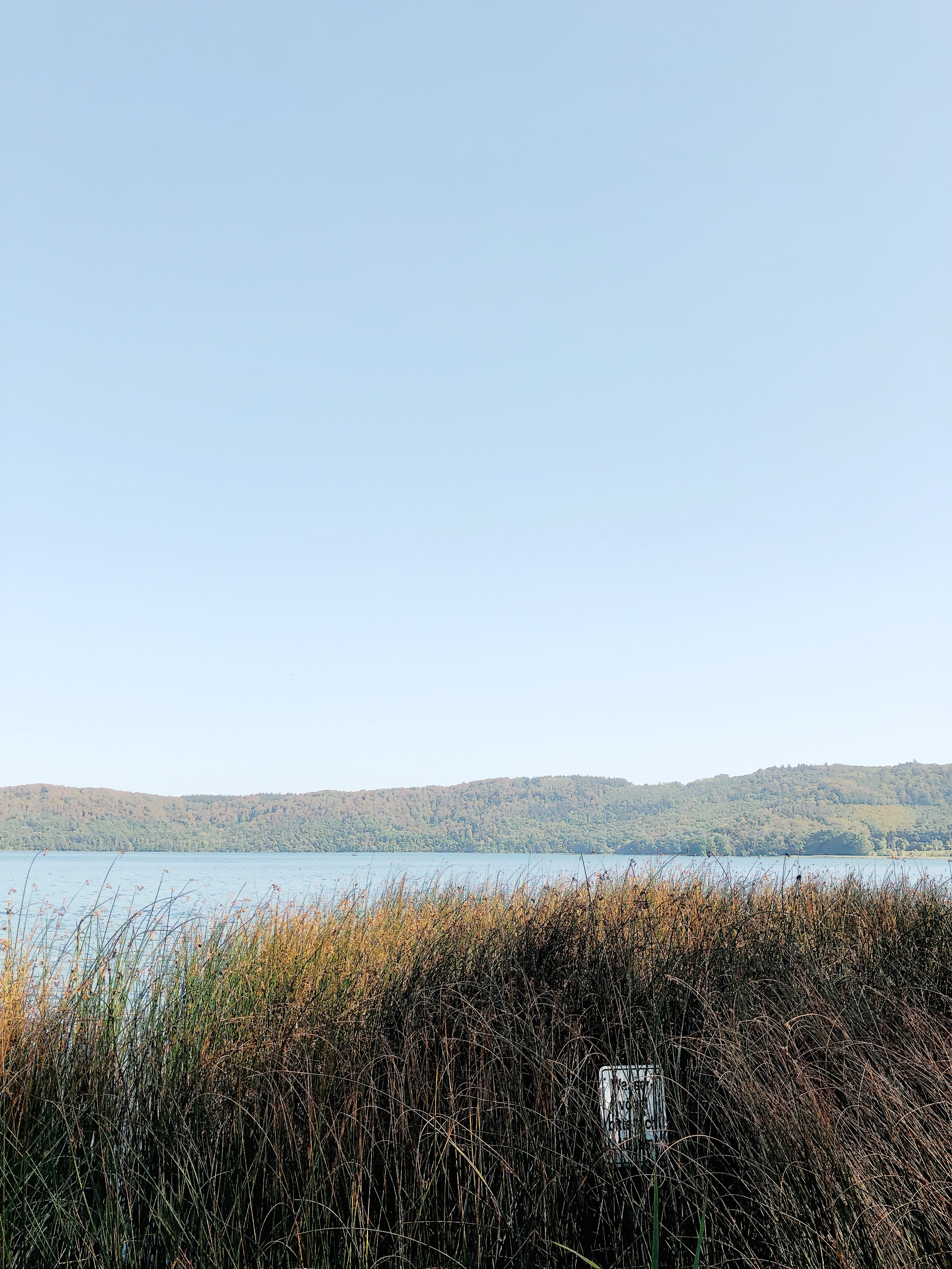 Am Laacher See