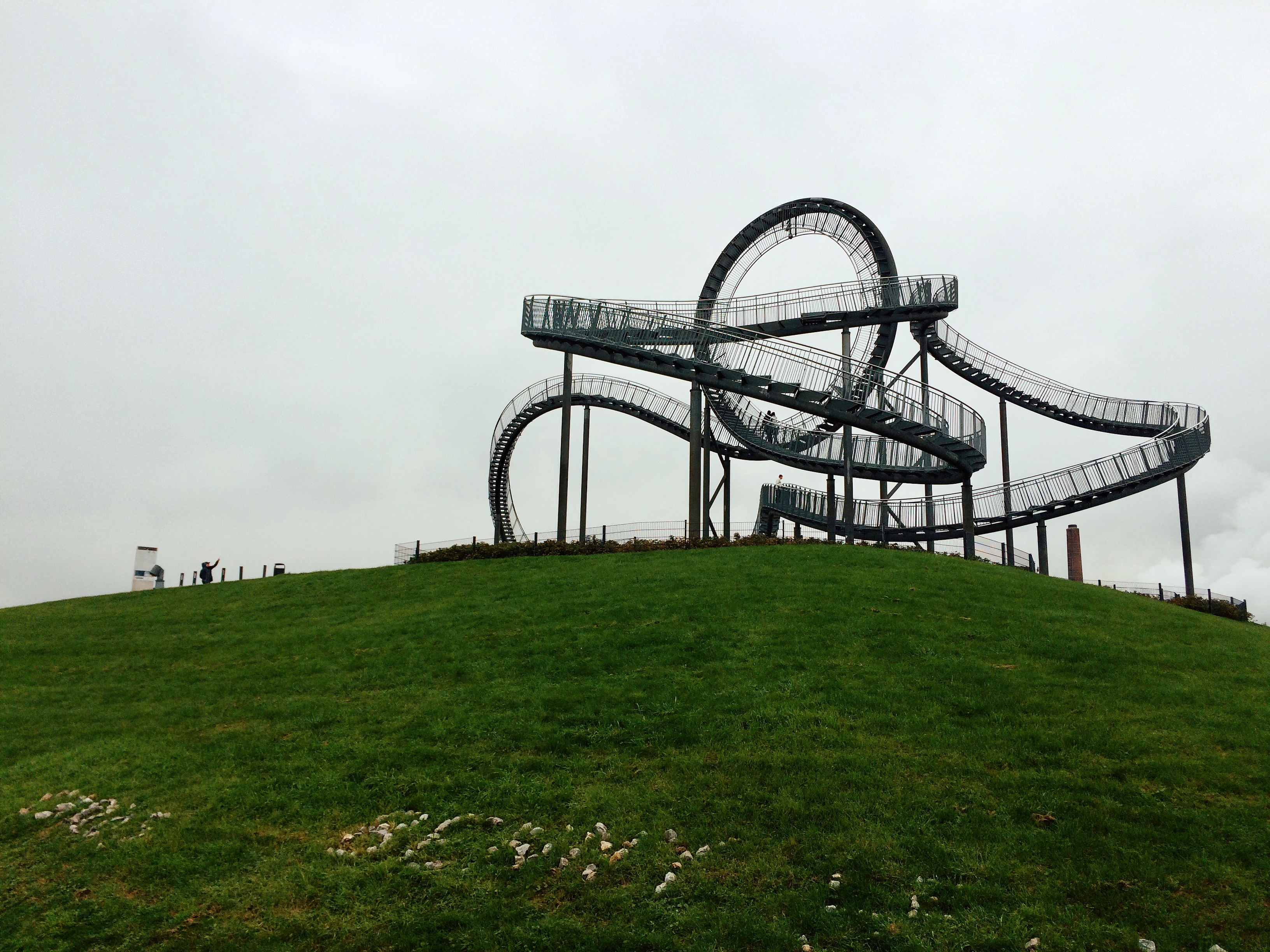 Tiger and Turtle